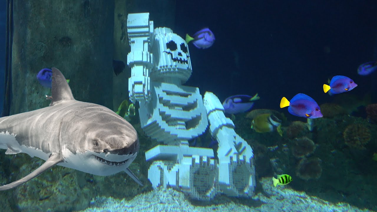 Are Lego Aquarium Safe Using Lego For Aquarium Decor