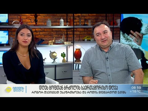 როგორ ვრცელდება ცოფის ვირუსი და რა უნდა ვიცოდეთ  საფრთხეების შესახებ?