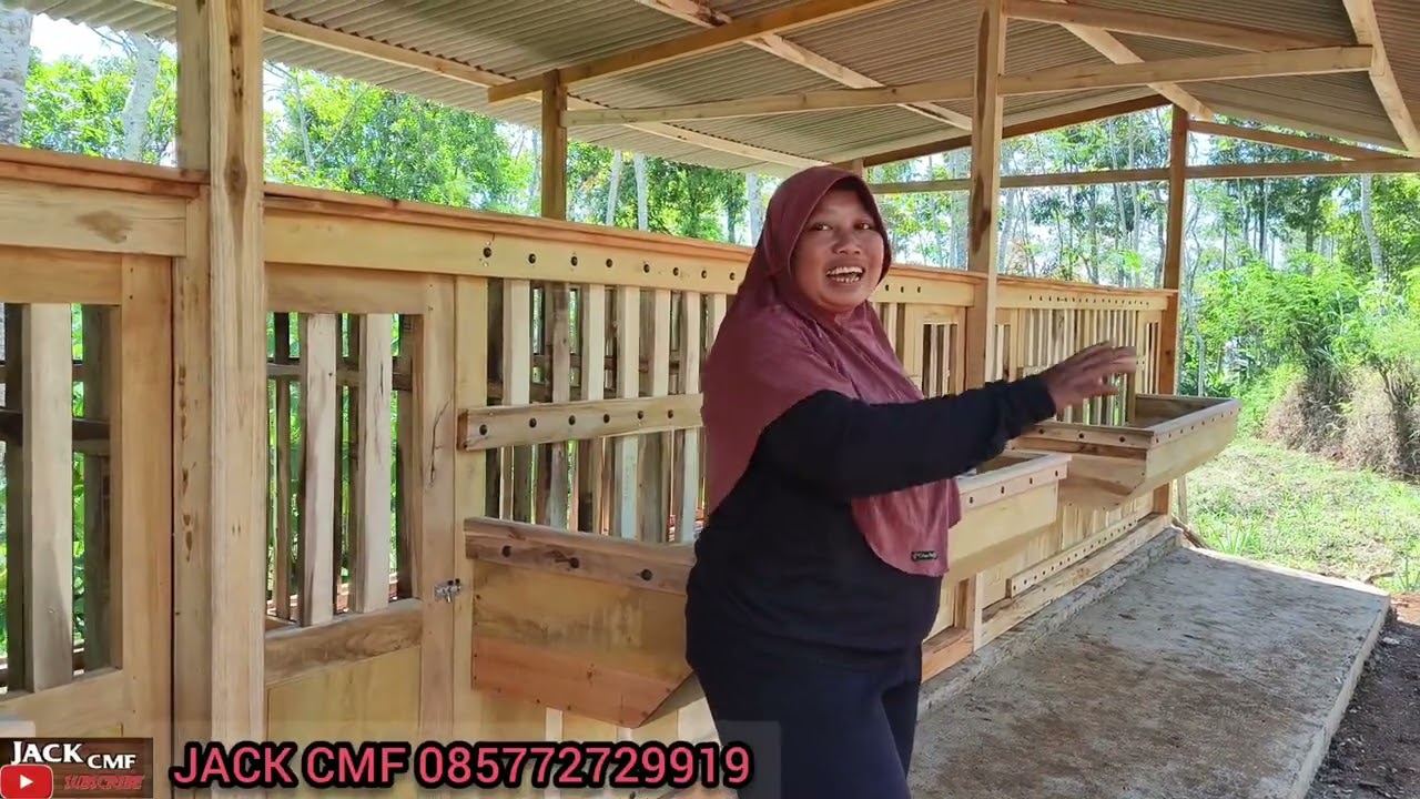 IBU TANGGUH INI TINGGAL SENDIRI DI HUTAN BERSAMA 13 EKOR KAMBING