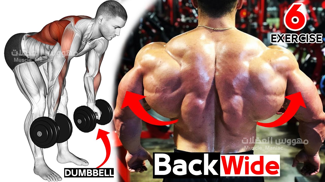 Exercise Back Workouts (Dumbbells Row Only)