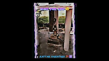 Sanatan Dharma Supremacy 🙏🕉️😌 #shorts #viralshorts #mahadev