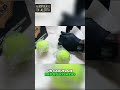 Paraguay: ¡Descubren droga en pelotas de tenis! ¡Increíble! #shorts