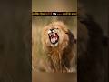 why zoos are bad for animals #shorts