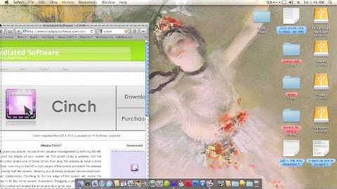 Get Aero Snap In Snow Leopard - Via Cinch