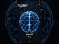 AI Scientists Are Transforming Research and InnovationAI