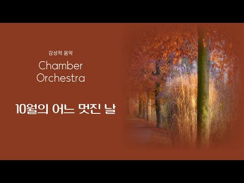 10월의 어느 멋진 날- Chamber Orchestra - 김동규