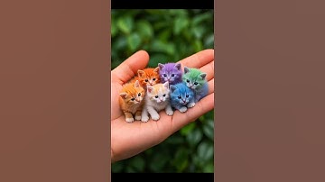 Thumbnail of Anak kucing meong meong