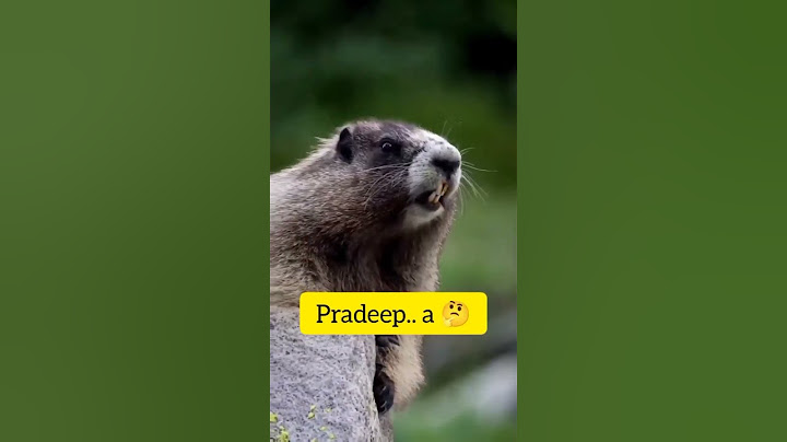 Pradeep 🤣 Look how he call Pradeep 😂🤭 Sub for more videos ❤️ #pradeep #nameart #funnyvideos #viral