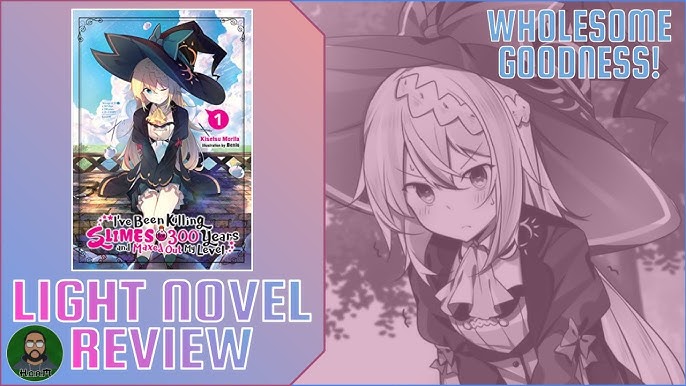 The High School DxD Light Novel Was Not What I Expected! (Vol 1. Review) # lightnovel 