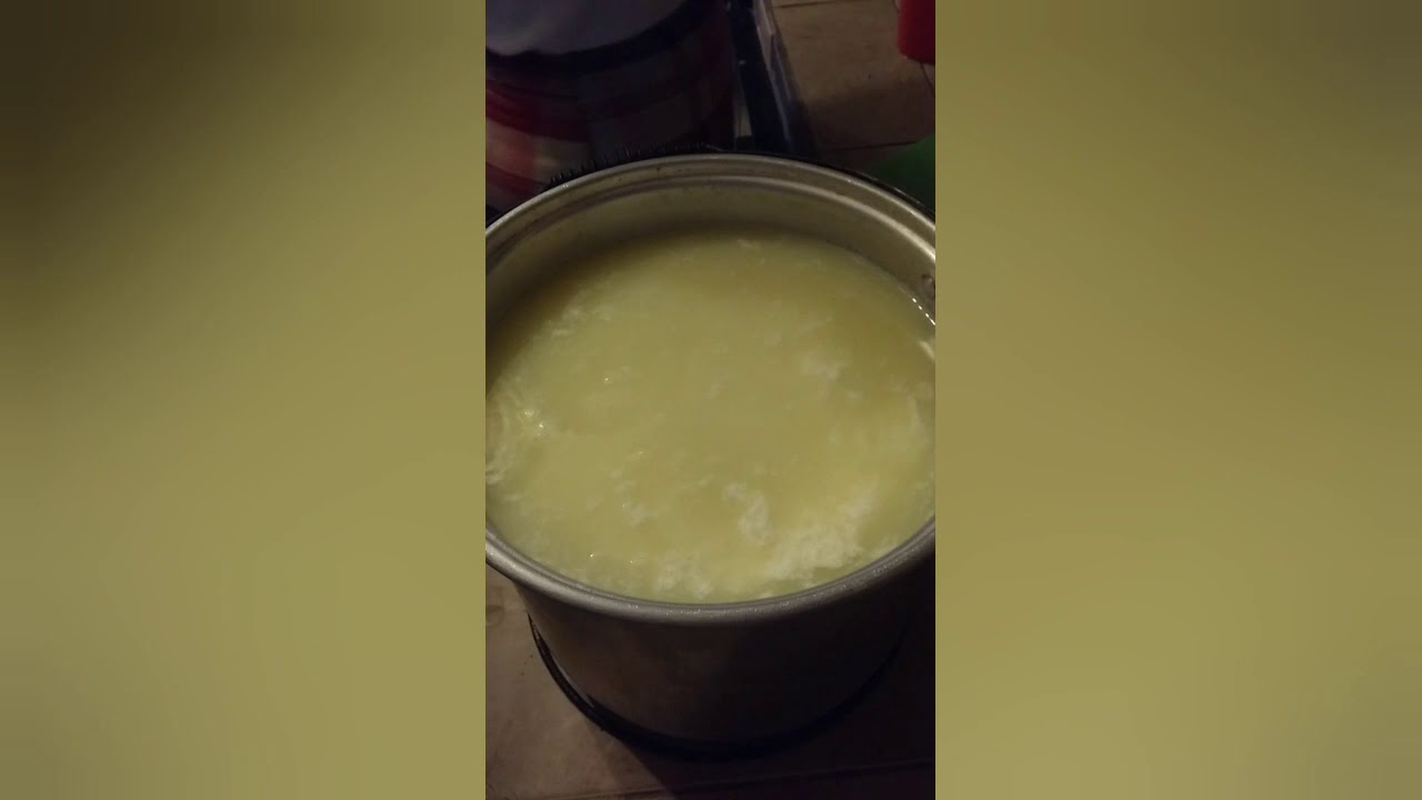 Como hacer queso asadero YouTube