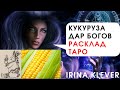 Кукуруза дар Богов. Расклад на картах ТАРО