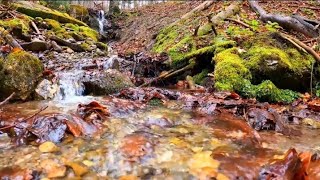 nature water relaxing music 🎶 chel nature view #relaxing