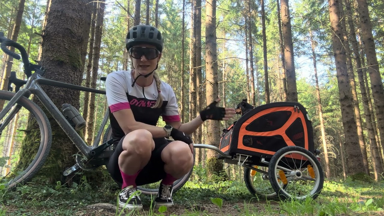 Manolo testet den DogBus von TrendPet in Größe S