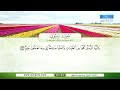 سورة المؤمنون القراء عبدالله بصفر نبيل الرفاعي صلاح الهاشم يحيى حوى سعد الغامدي فؤاد الخامري سورة المؤمنون القراء عبدالله بصفر نبيل الرفاعي صلاح الهاشم يحيى حوى سعد الغامدي فؤاد الخامري