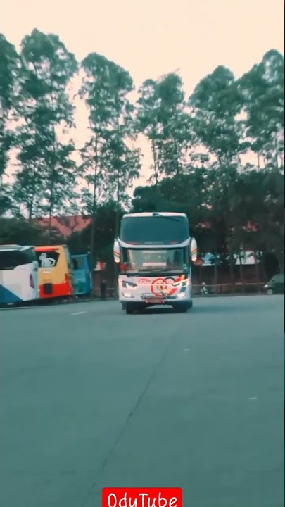 bus NPM mania supercepat bosku #trending #viral #shorts #bus #busmania #india #indonesia #npm