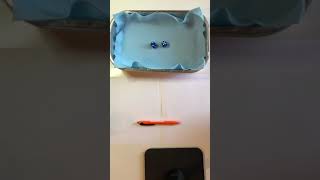 Doubles Race to 100 video