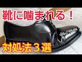 【靴ずれ対処法】革靴のアッパーに噛まれた時の対処法３選