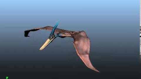 Pterodactyl Animation
