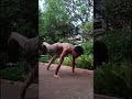 yoga challenge naw Blok ulhasnagar
