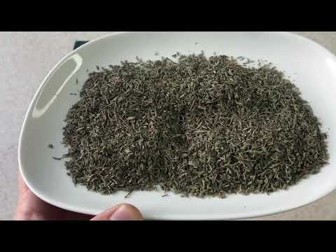 Обзор. Специя Чабер. Польза и история I Herbals-ua.com