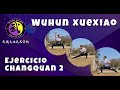 Wushu ejercicio de changquan 2