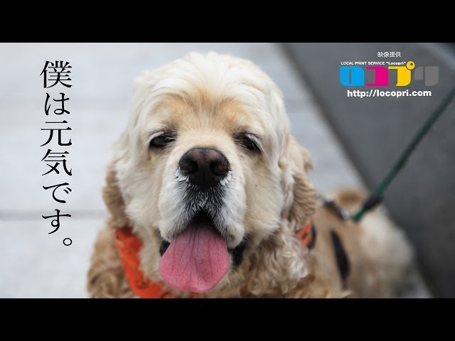 Half of me平井堅