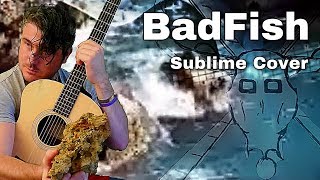 Download Lagu Sublime ~ Badfish ~ Country Acoustic Cover (2020) MP3