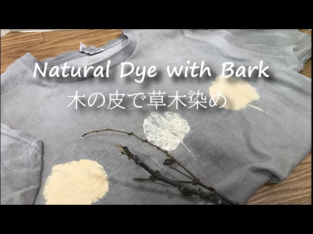 オシャレすぎる植物│草木染め やり方│樹皮で染めるHow to make