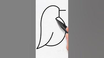 Cách vẽ Chim Cánh Cụt từ số 5 | Học Vẽ TV