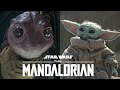 Frog Lady Is More Important Than We Know! [The Mandalorian Season 2]