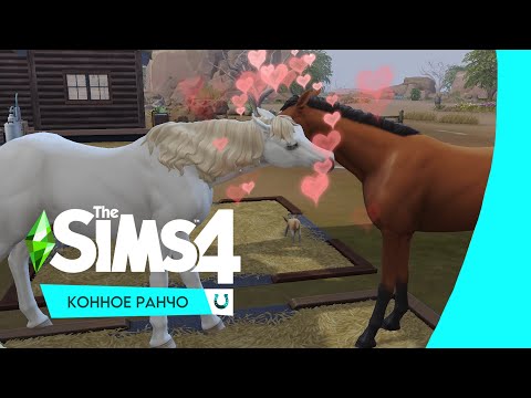Видео: 🍼 ОБЗОР The Sims 4: Конное ранчо | Роды лошади, Рабочий на ранчо, Снова нектар и состязания | ч.3