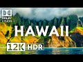 HAWAII 12K HDR 120FPS | Dolby Vision® in 2023