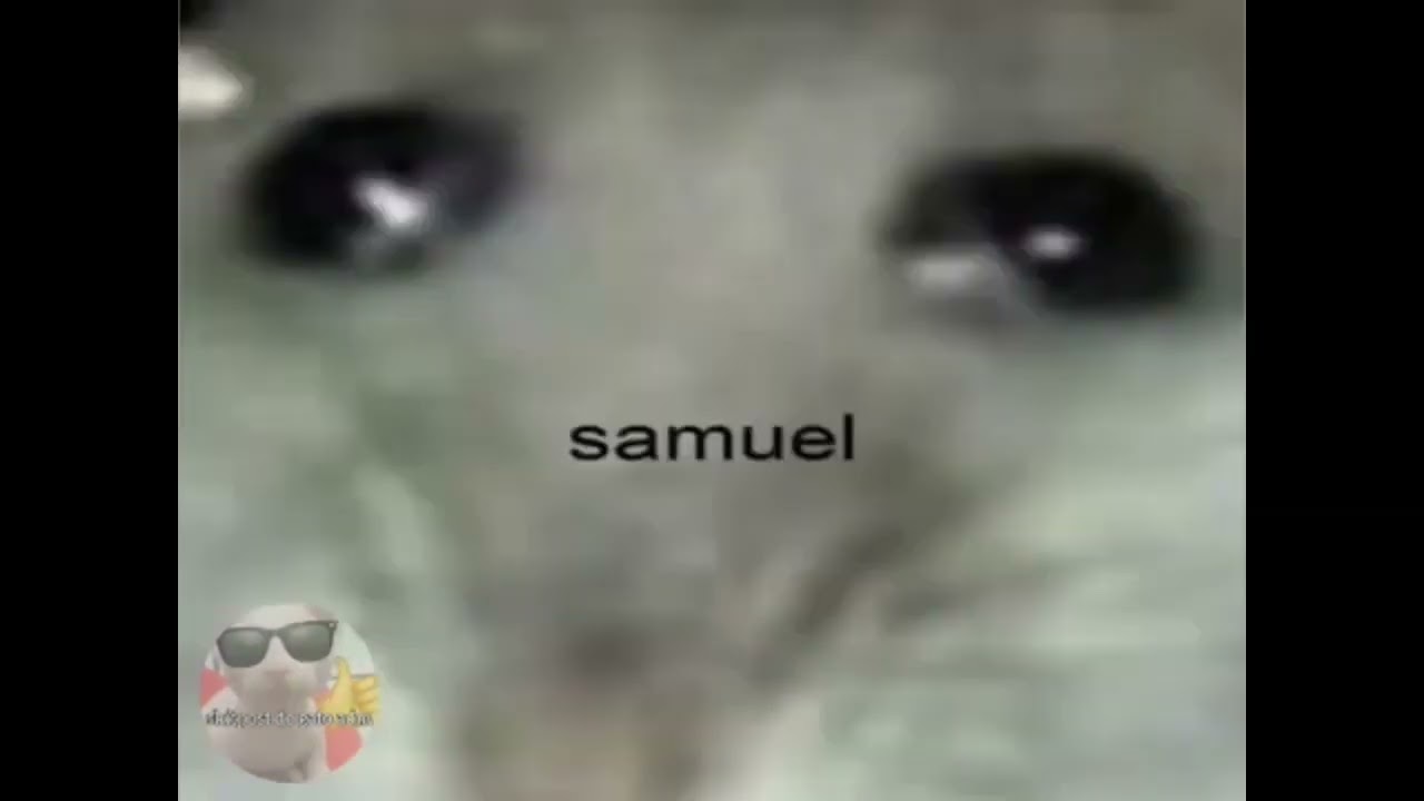 Samuel Meme YouTube Samuel Meme YouTube