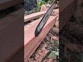 Corte para arreglar el tablón 💪🔥 #chainsaw #sthil #madera #asmr #woodworking