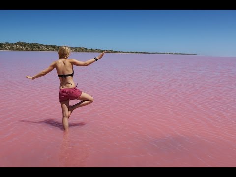 Video: Unde Este Lacul De Culoare Roz