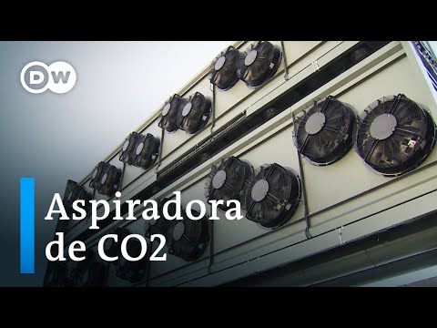 Video: ¿Qué almacena más carbono?
