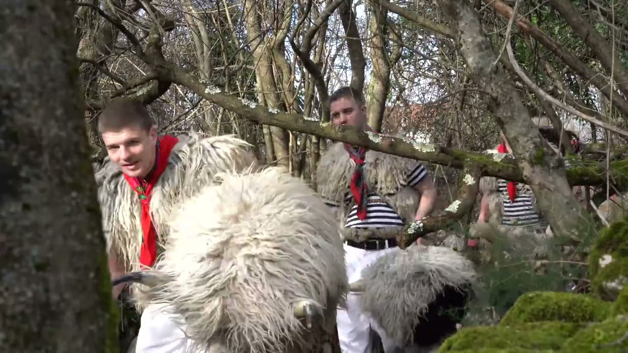 Halubajski zvončari, ophod 2026. šumski put  Trtni - The Halubian Bell Ringers 2026.