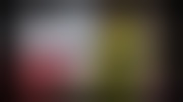 🚨 SHOCKING CANNABIS FARM DISCOVERY! 🚨