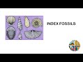 Index Fossils and Their Role in Determining Geological Time