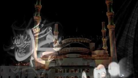 القران الكريم بصوت القارء لافي العوني سورة عبس