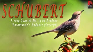 Schubert String Quartet No. 13 In A Minor Rosamunde Andante Excerpt