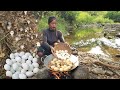 Wow Snake&#39;s Eggs! Cooking Curry Egg with Mushroom &amp; Eating Delicious