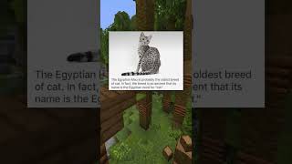 Oldest Cat Breed Tumblr Post