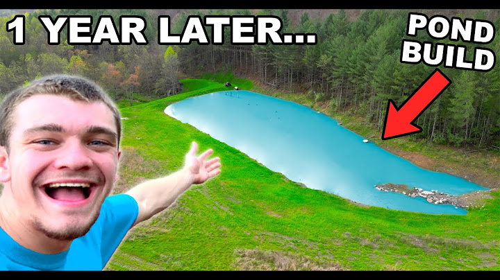 Building My Dream Pond - 1 Year Later