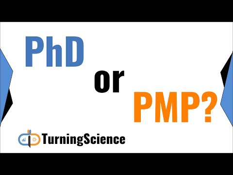 PhD or PMP? Why technical project managers are best thumbnail