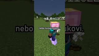 Proč mají skeletoni luk v Minecraftu? 😳