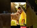 “Smart Golden Retriever Rescues a Dropped Bottle and Returns It to a Little Girl 🐶❤️”