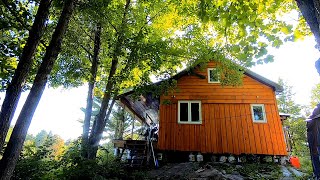 Summer Days at the Cabin