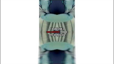 [REQUESTED] The Patrick Show Intro In G-Major Mirror Top