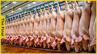 How Europeans Process Millions of Pigs in Factories Every Day | Food Processing Machine